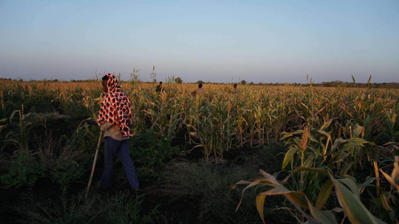 A woman in a field